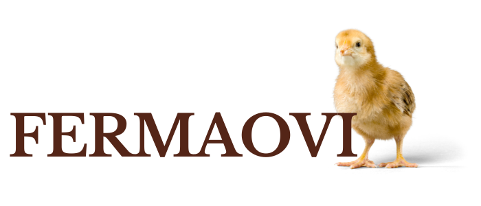 Ferma Ovi Pui